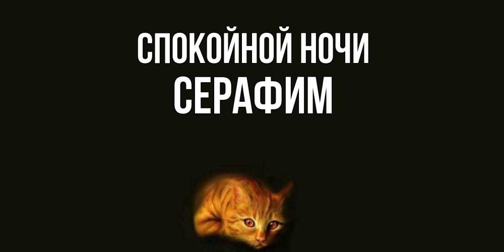 Открытка на каждый день с именем, Серафим Спокойной ночи кот Прикольная открытка с пожеланием онлайн скачать бесплатно 