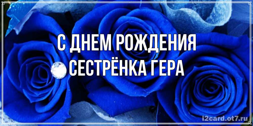 Открытка на каждый день с именем, Сестрёнка-Гера С днем рождения синие розы в росе Прикольная открытка с пожеланием онлайн скачать бесплатно 