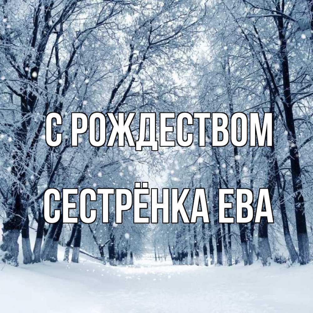 Открытка на каждый день с именем, Сестрёнка-Ева С рождеством снег, лес, парк Прикольная открытка с пожеланием онлайн скачать бесплатно 