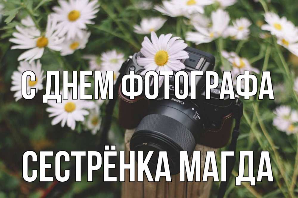 Открытка на каждый день с именем, Сестрёнка-Магда С днем фотографа с днем фотографа Прикольная открытка с пожеланием онлайн скачать бесплатно 