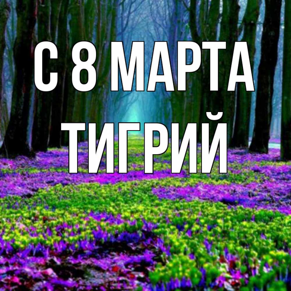 Открытка на каждый день с именем, Тигрий С 8 МАРТА фиолетовые цветы в лесу 1 Прикольная открытка с пожеланием онлайн скачать бесплатно 