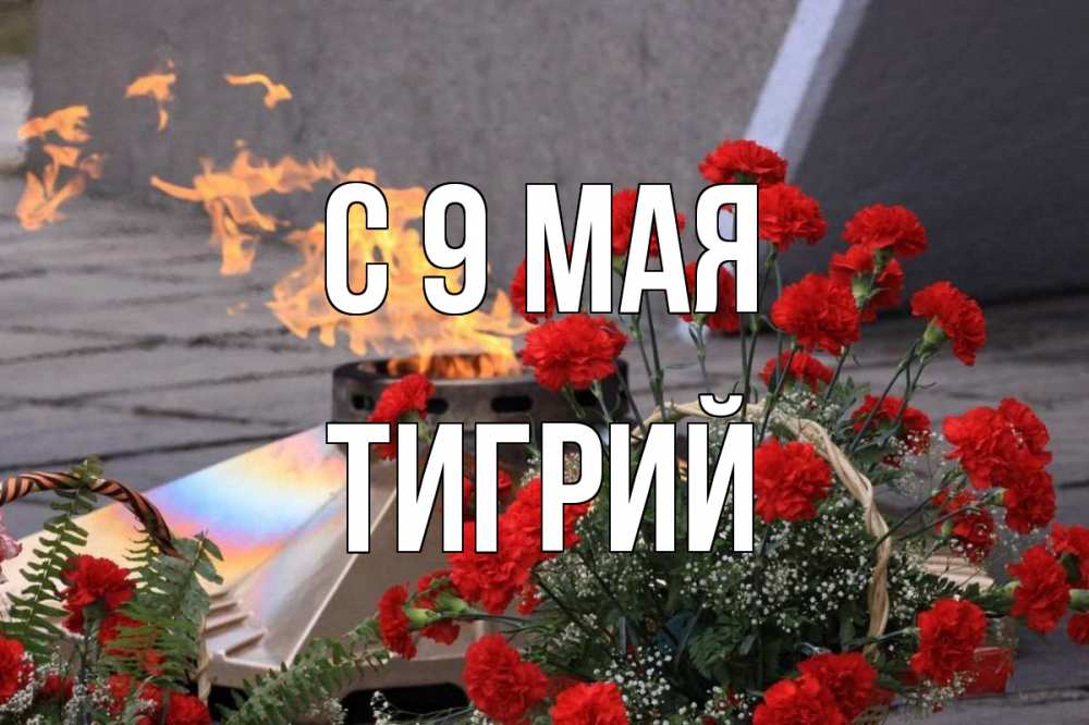 Открытка на каждый день с именем, Тигрий С 9 мая 9 мая Прикольная открытка с пожеланием онлайн скачать бесплатно 