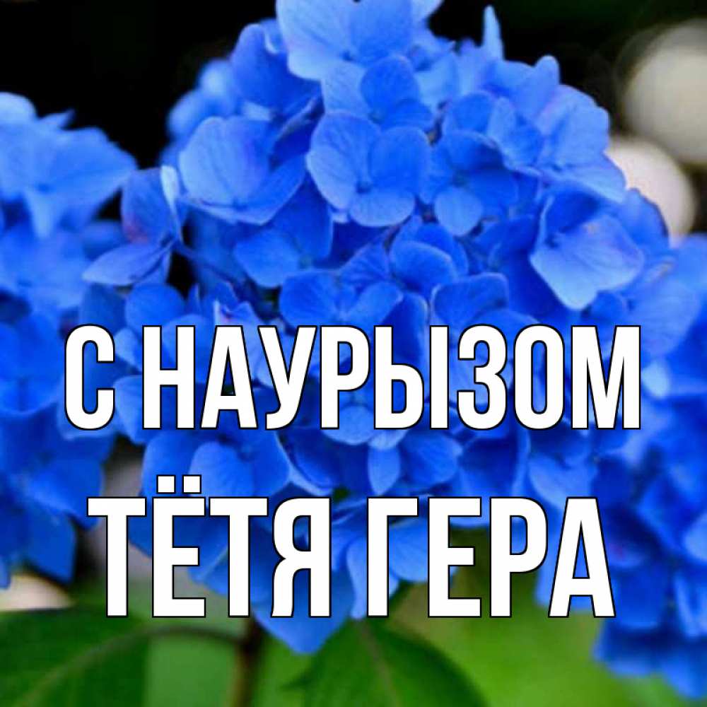 Открытка на каждый день с именем, Тётя-Гера С наурызом синие цветы Прикольная открытка с пожеланием онлайн скачать бесплатно 