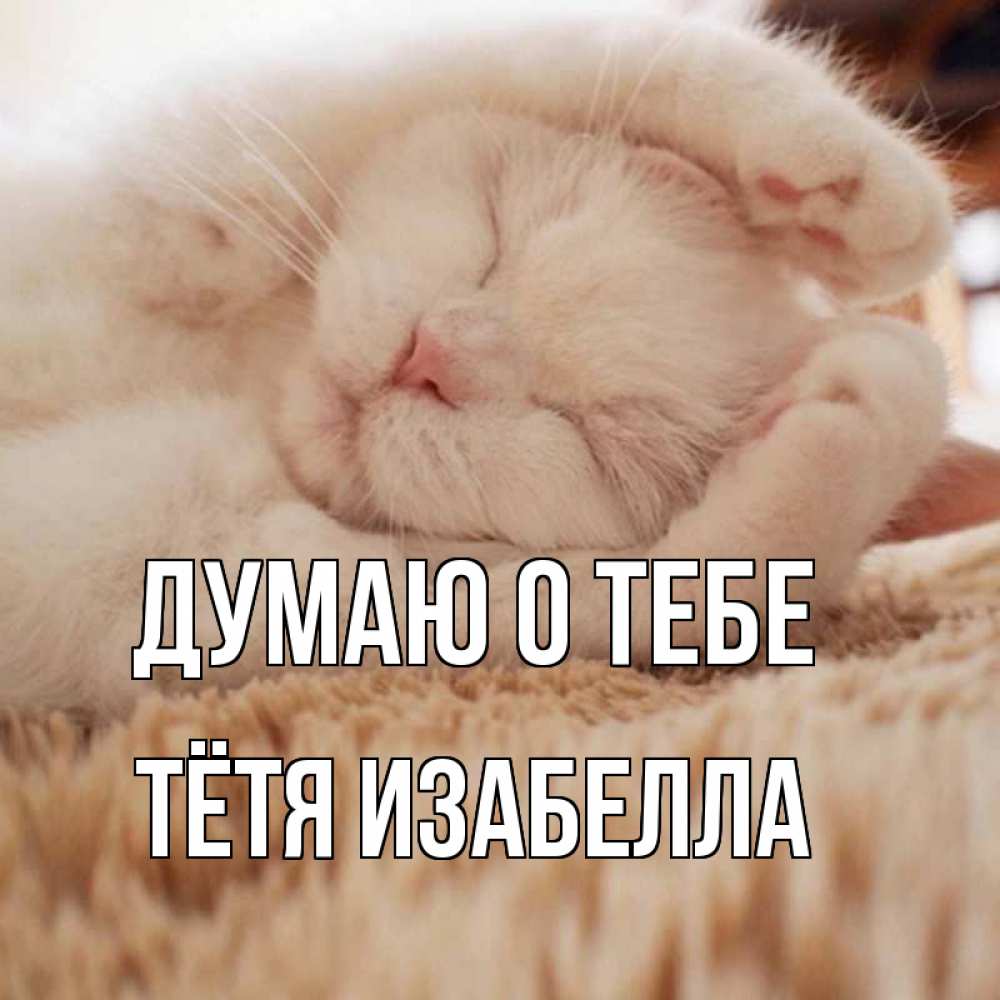Открытка на каждый день с именем, Тётя-Изабелла Думаю о тебе для любимой девушки милота Прикольная открытка с пожеланием онлайн скачать бесплатно 