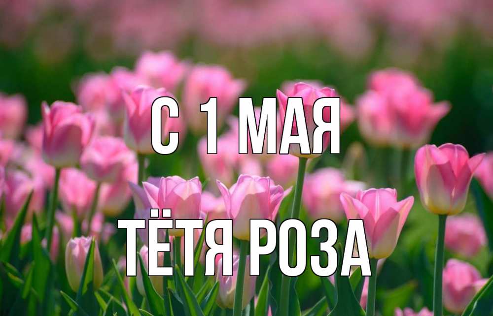 Открытка на каждый день с именем, Тётя-Роза С 1 мая С 1 мая Прикольная открытка с пожеланием онлайн скачать бесплатно 