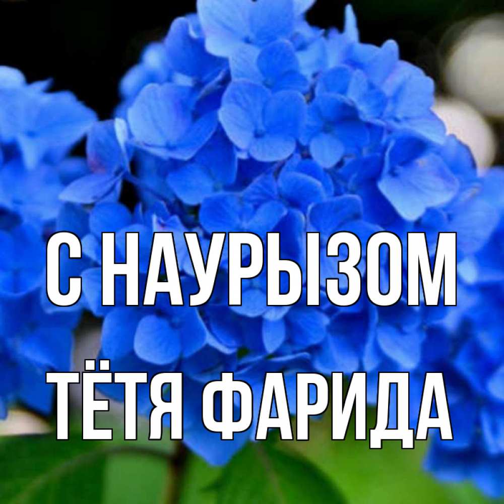 Открытка на каждый день с именем, Тётя-Фарида С наурызом синие цветы Прикольная открытка с пожеланием онлайн скачать бесплатно 
