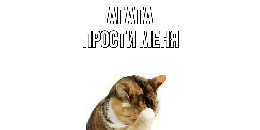ПРОСТИ МЕНЯ АГАТА