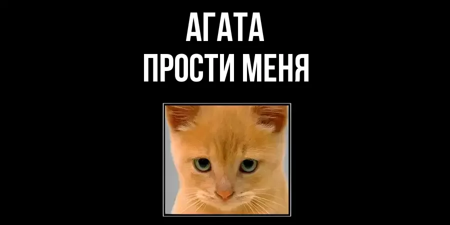 ПРОСТИ МЕНЯ АГАТА