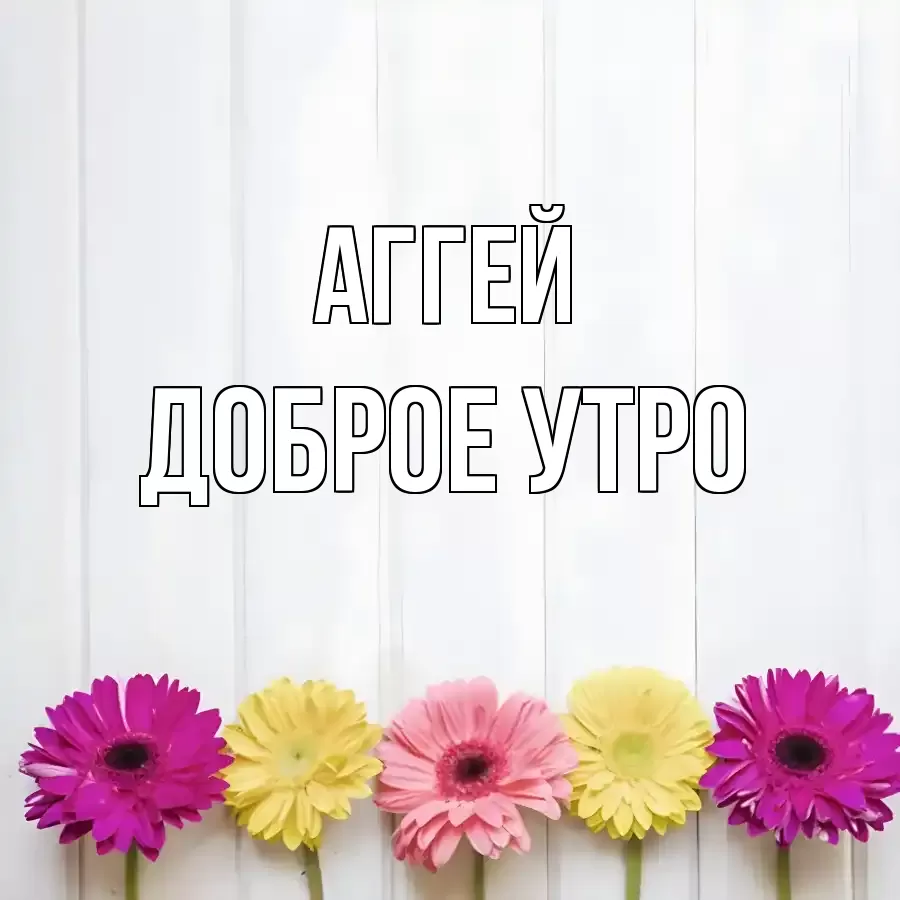 ДОБРОЕ УТРО АГГЕЙ