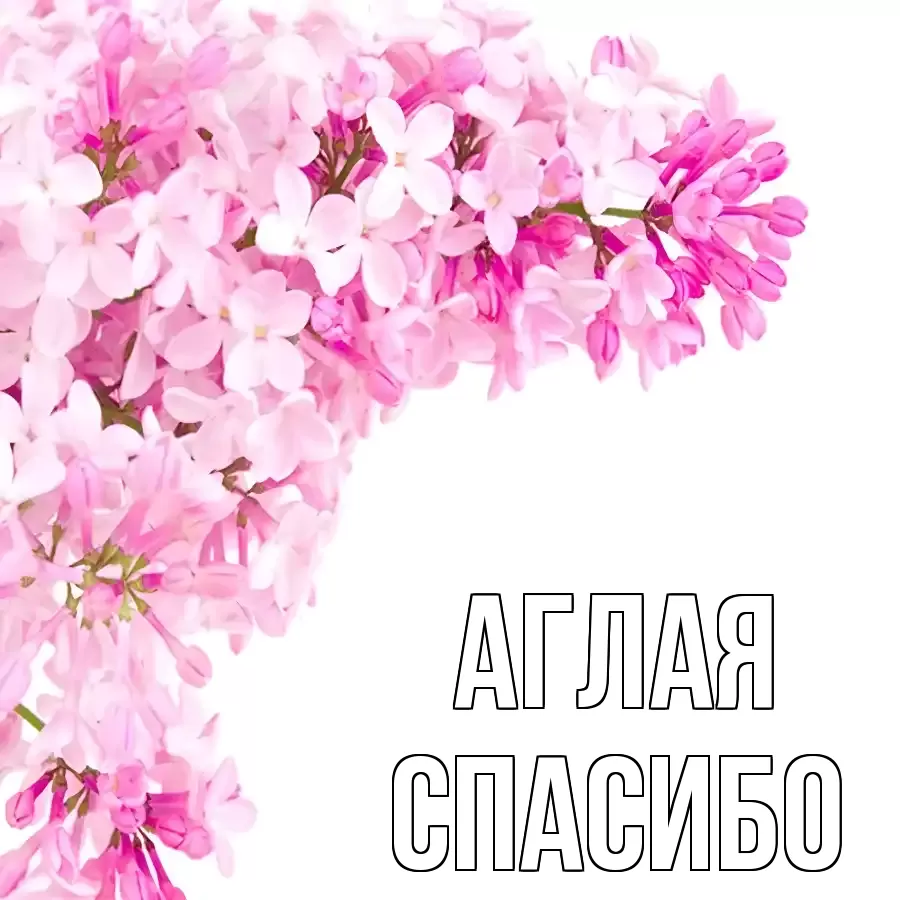 ОТКРЫТКА АГЛАЯ
