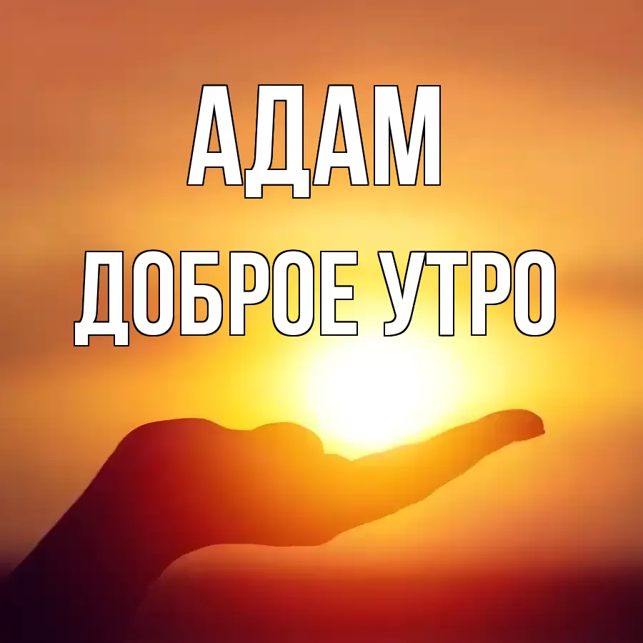 ДОБРОЕ УТРО АДАМ