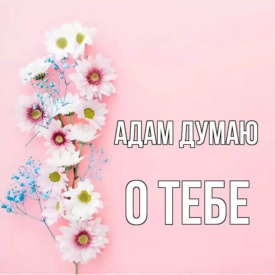ОТКРЫТКА АДАМ