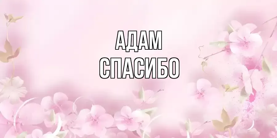 ОТКРЫТКА АДАМ