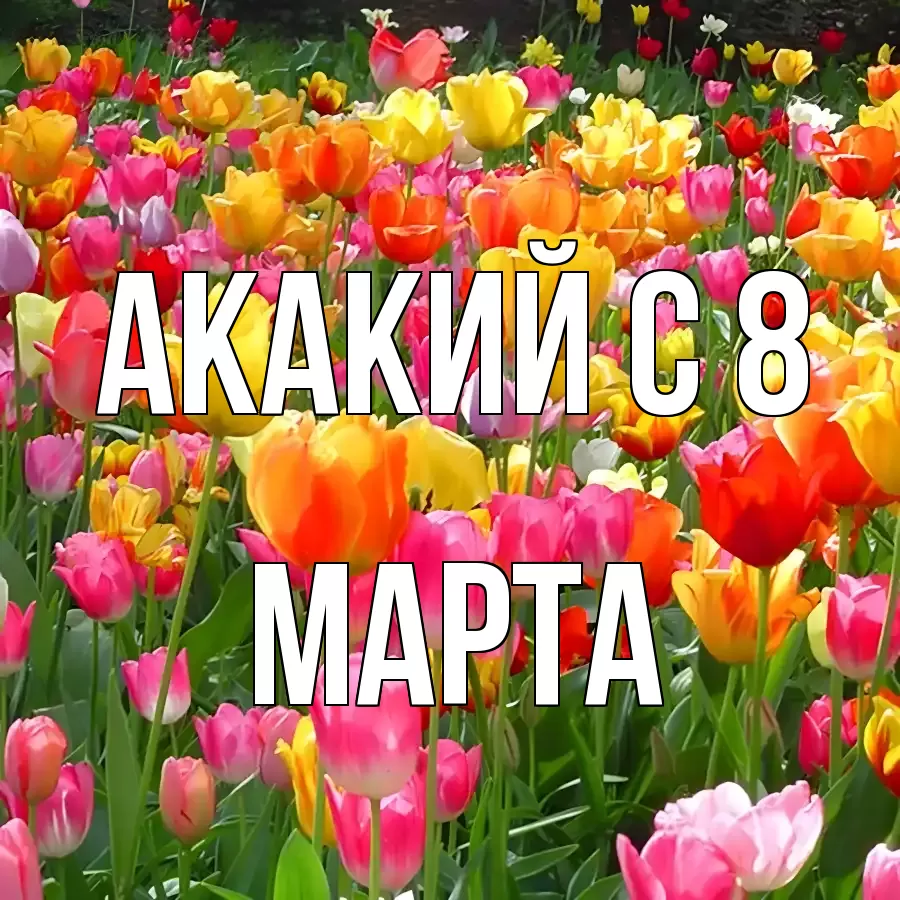 ОТКРЫТКА АКАКИЙ