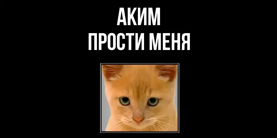 ПРОСТИ МЕНЯ АКИМ