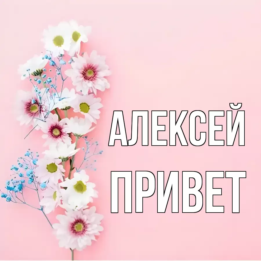 ОТКРЫТКА АЛЕКСЕЙ