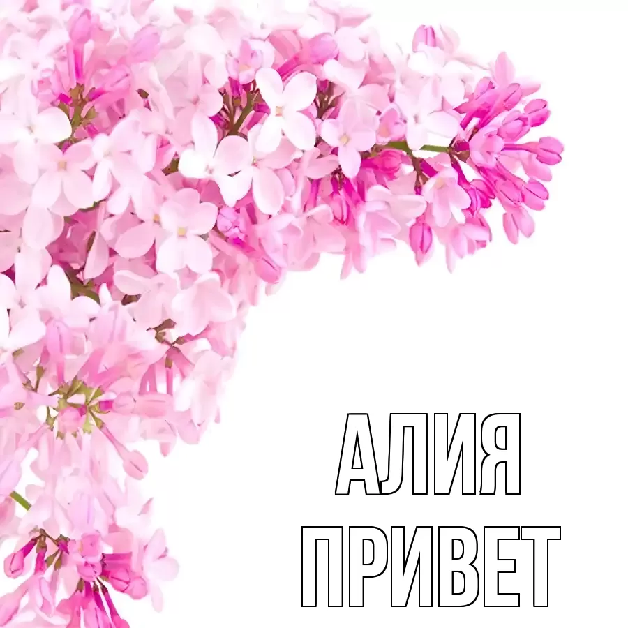 ОТКРЫТКА АЛИЯ