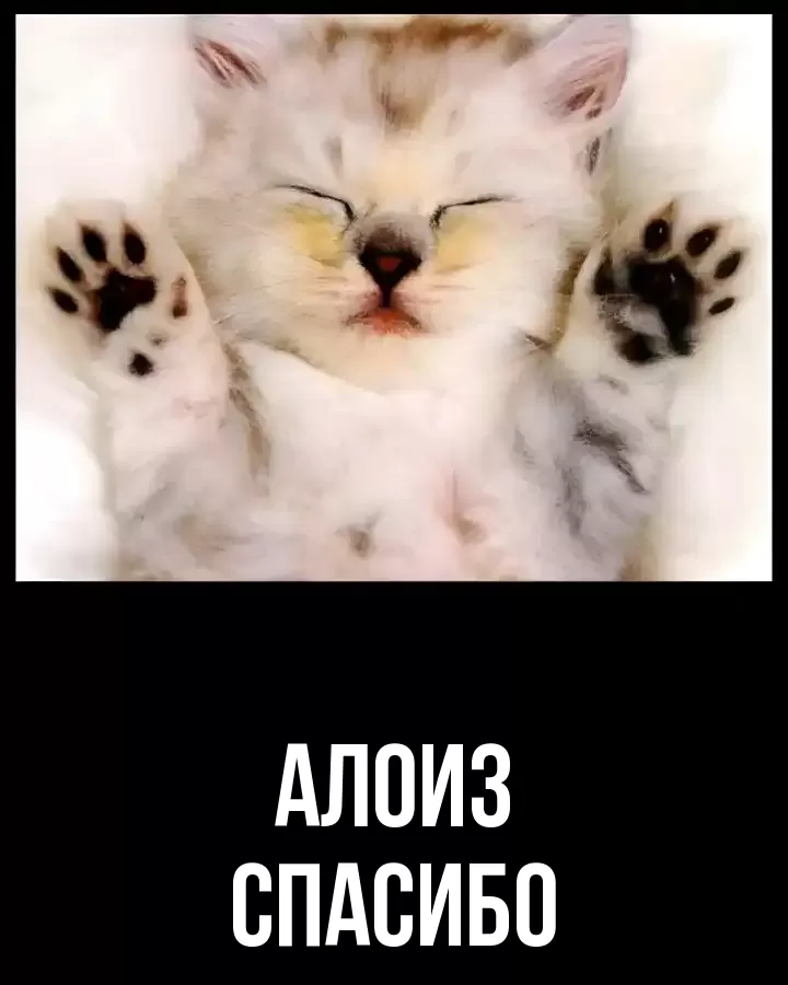 ОТКРЫТКА АЛОИЗ