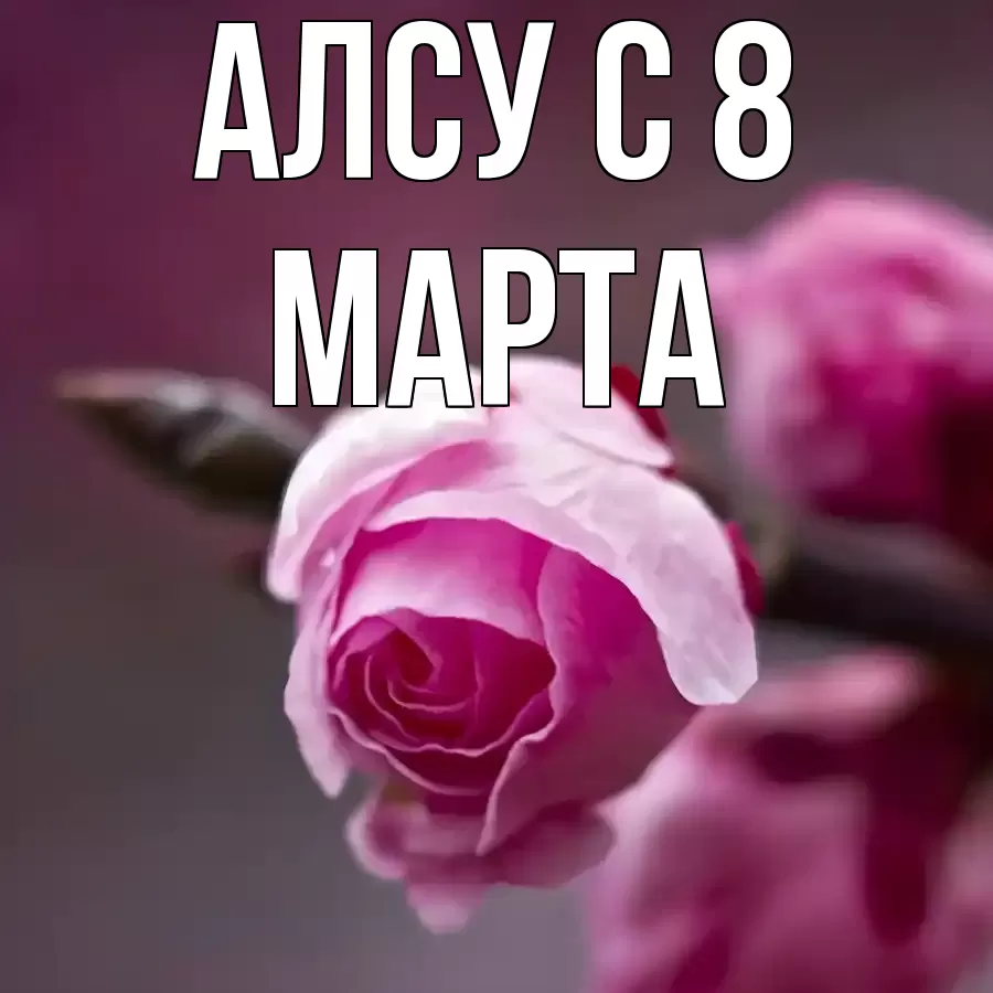 ОТКРЫТКА АЛСУ