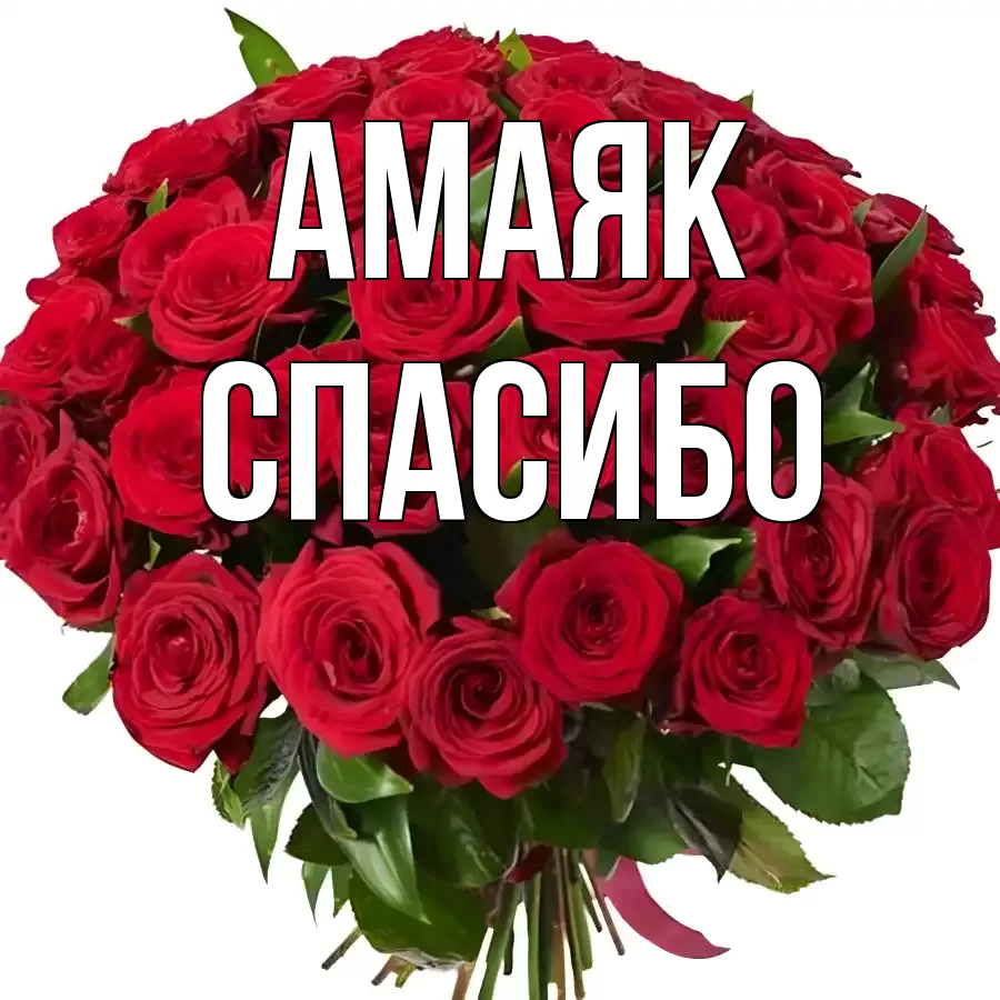 ОТКРЫТКА АМАЯК