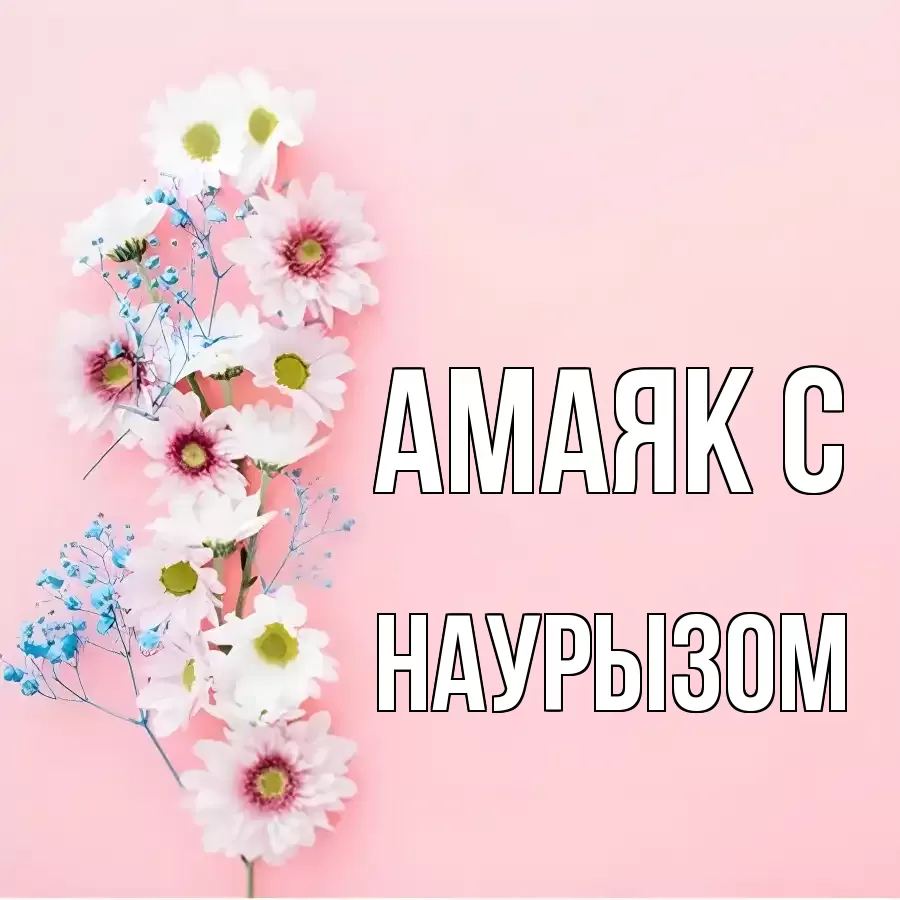 ОТКРЫТКА АМАЯК