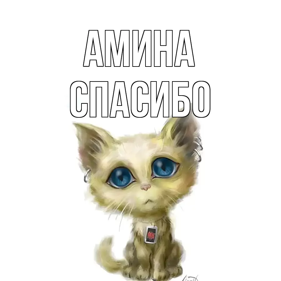 ОТКРЫТКА АМИНА