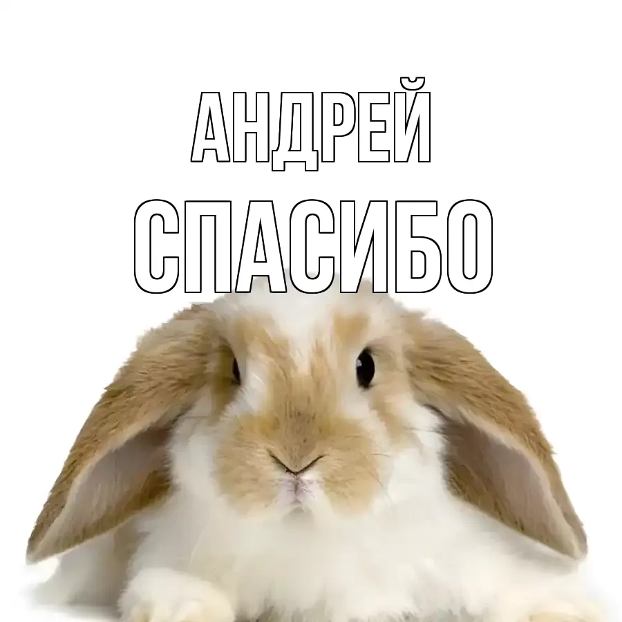 ОТКРЫТКА АНДРЕЙ