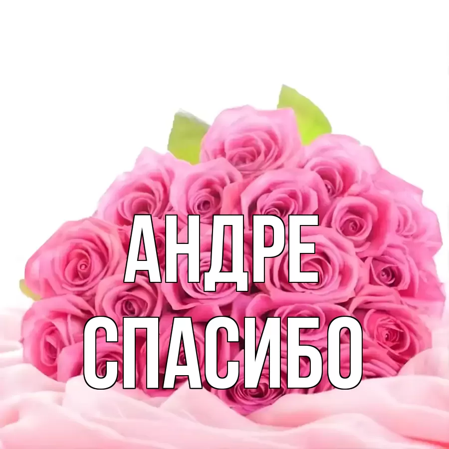 ОТКРЫТКА АНДРЕ