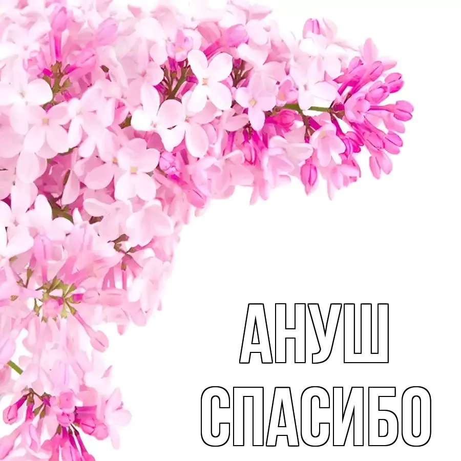 ОТКРЫТКА АНУШ