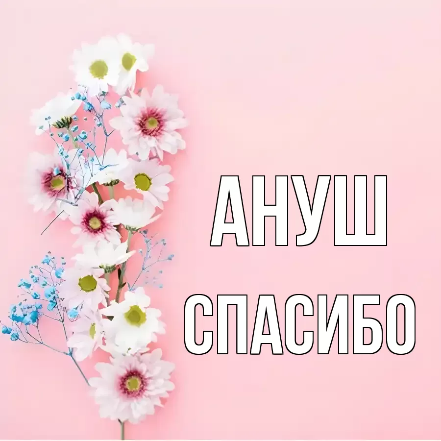 ОТКРЫТКА АНУШ
