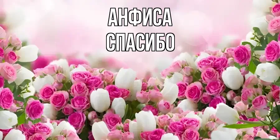 ОТКРЫТКА АНФИСА