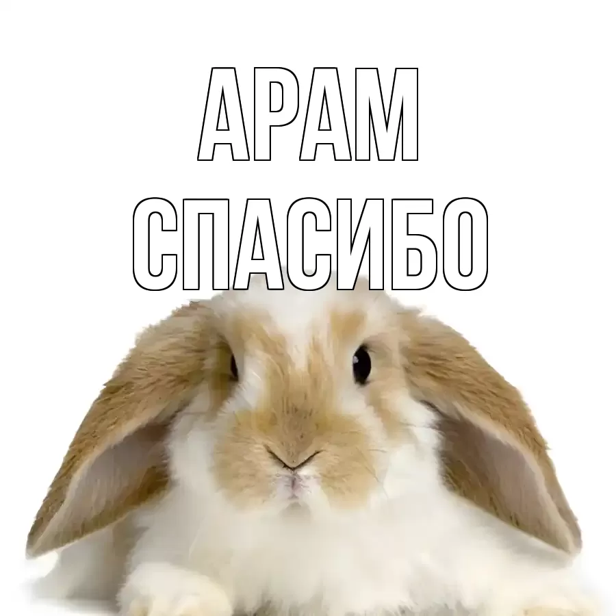 ОТКРЫТКА АРАМ