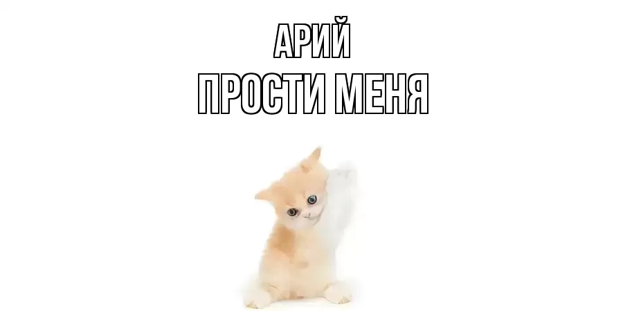 ПРОСТИ МЕНЯ АРИЙ