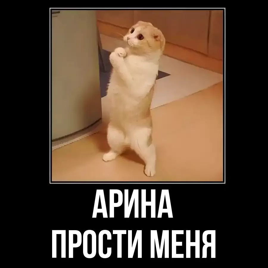 ПРОСТИ МЕНЯ АРИНА