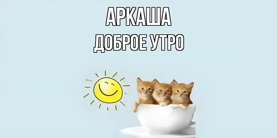 ДОБРОЕ УТРО АРКАША