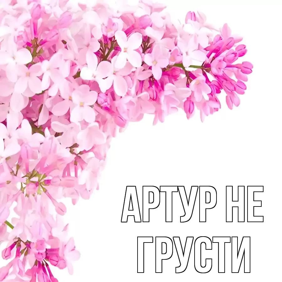 ОТКРЫТКА АРТУР