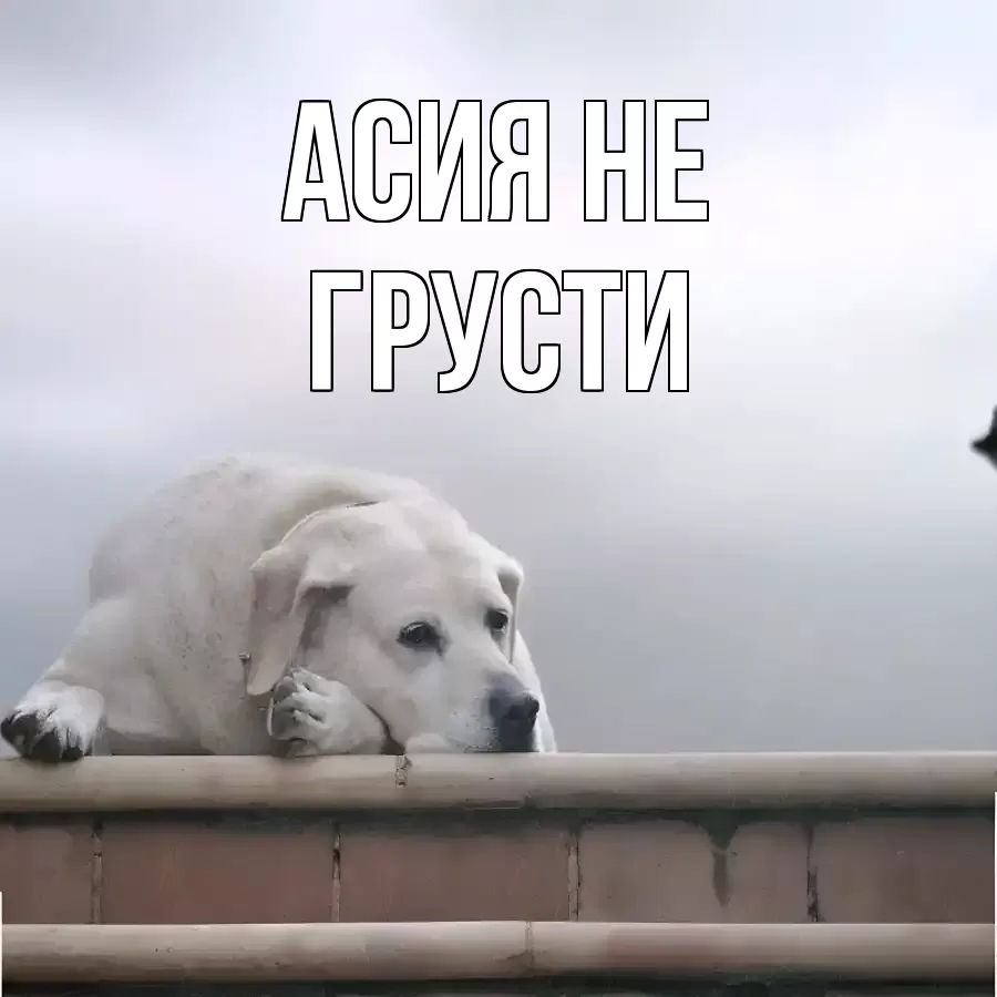 Открытка для Асия