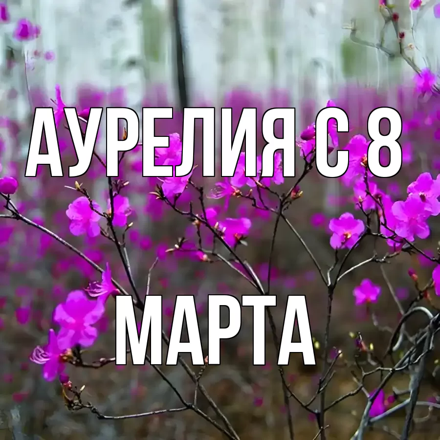 Открытка для Аурелия