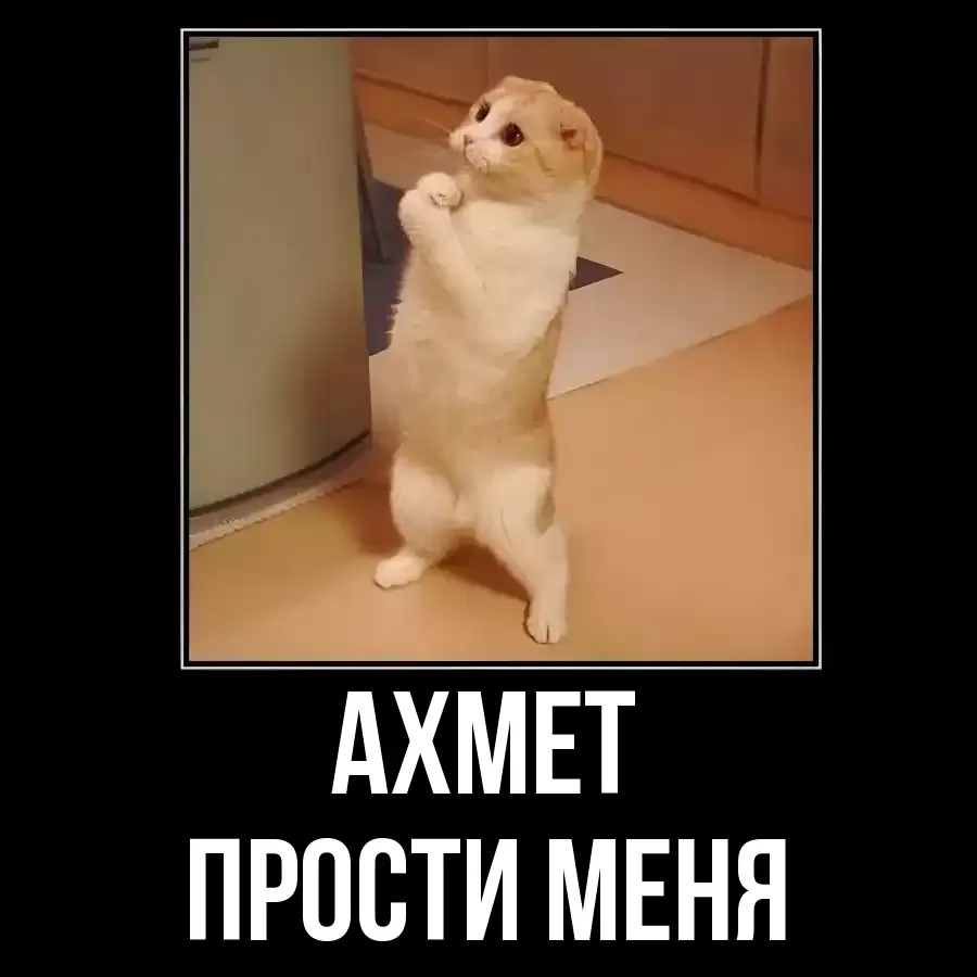 ПРОСТИ МЕНЯ АХМЕТ