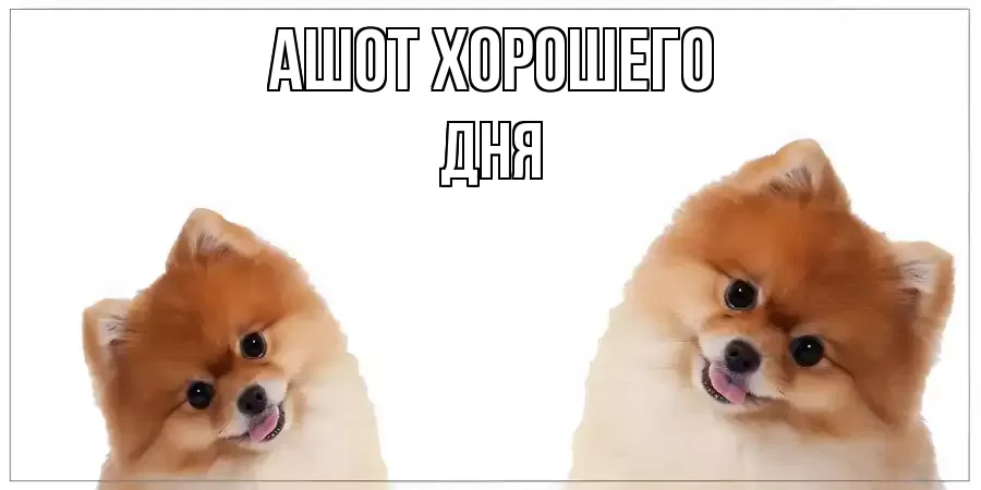 ОТКРЫТКА АШОТ