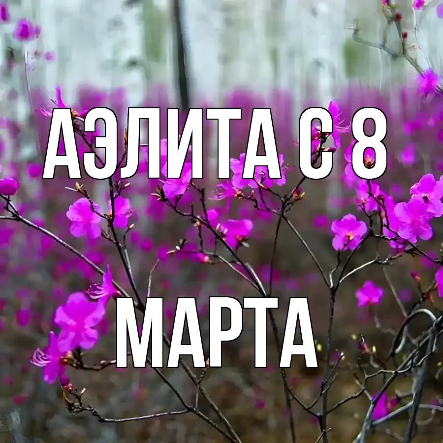 ОТКРЫТКА АЭЛИТА