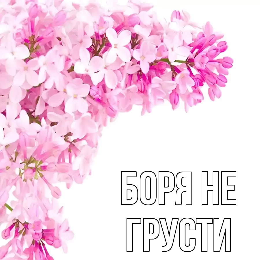 ОТКРЫТКА БОРЯ