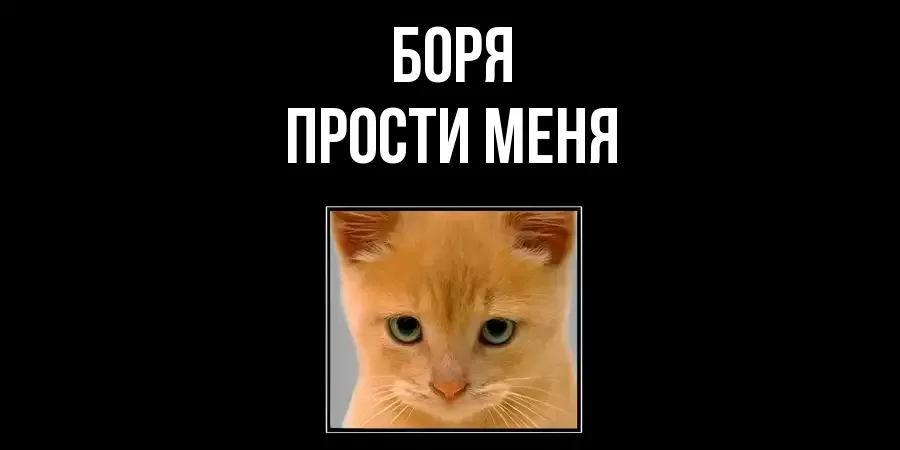 ПРОСТИ МЕНЯ БОРЯ