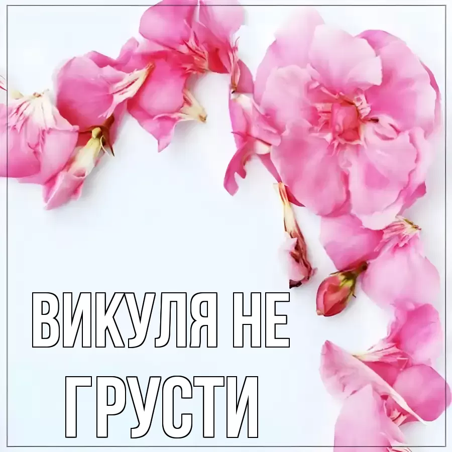ОТКРЫТКА ВИКУЛЯ