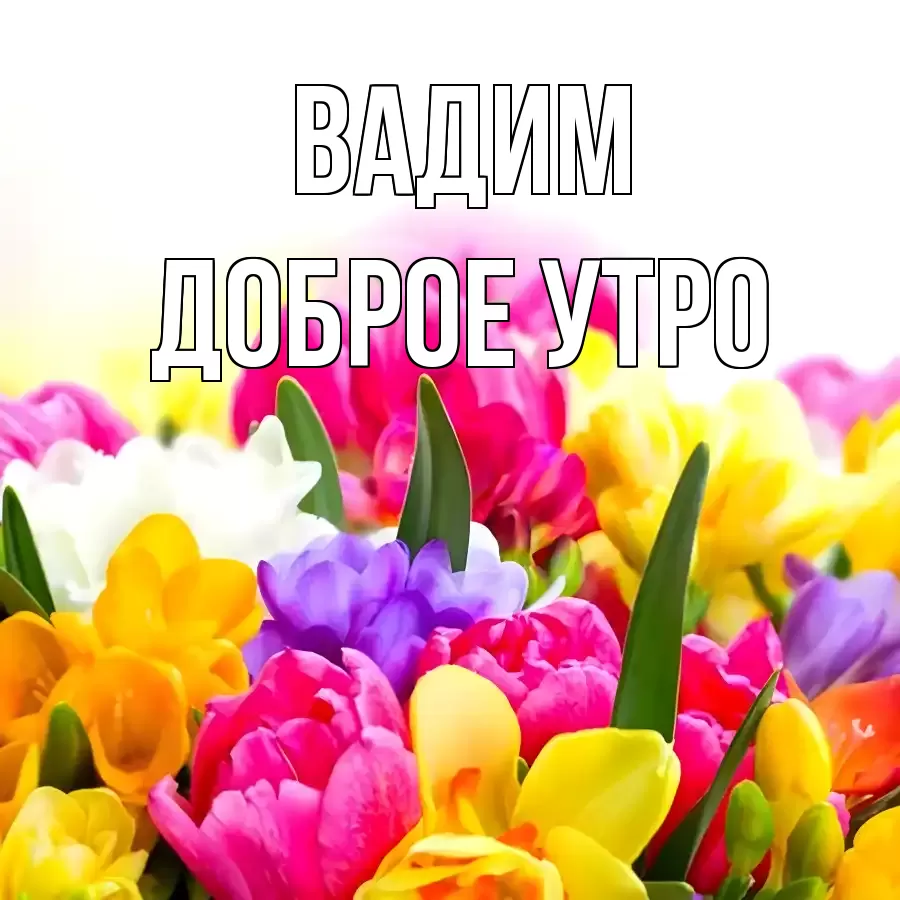 ДОБРОЕ УТРО ВАДИМ