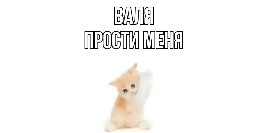 ПРОСТИ МЕНЯ ВАЛЯ