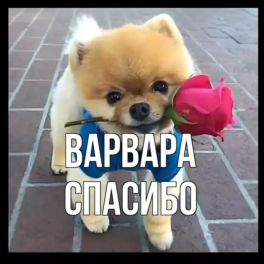 ОТКРЫТКА ВАРВАРА