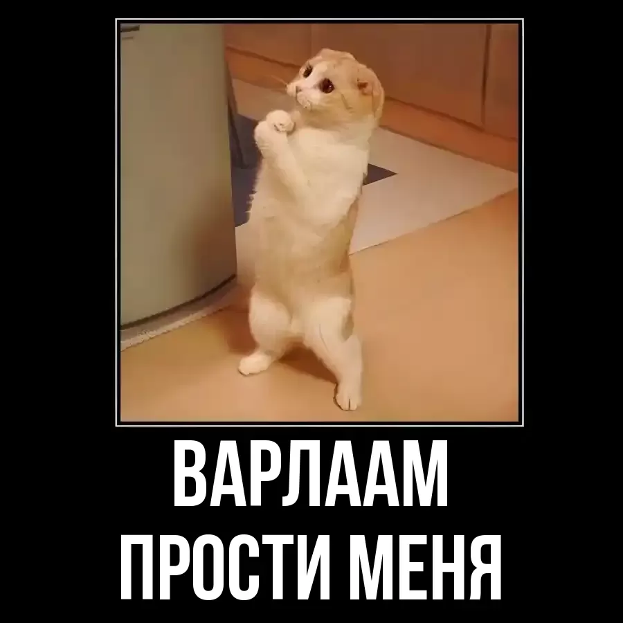 ПРОСТИ МЕНЯ ВАРЛААМ