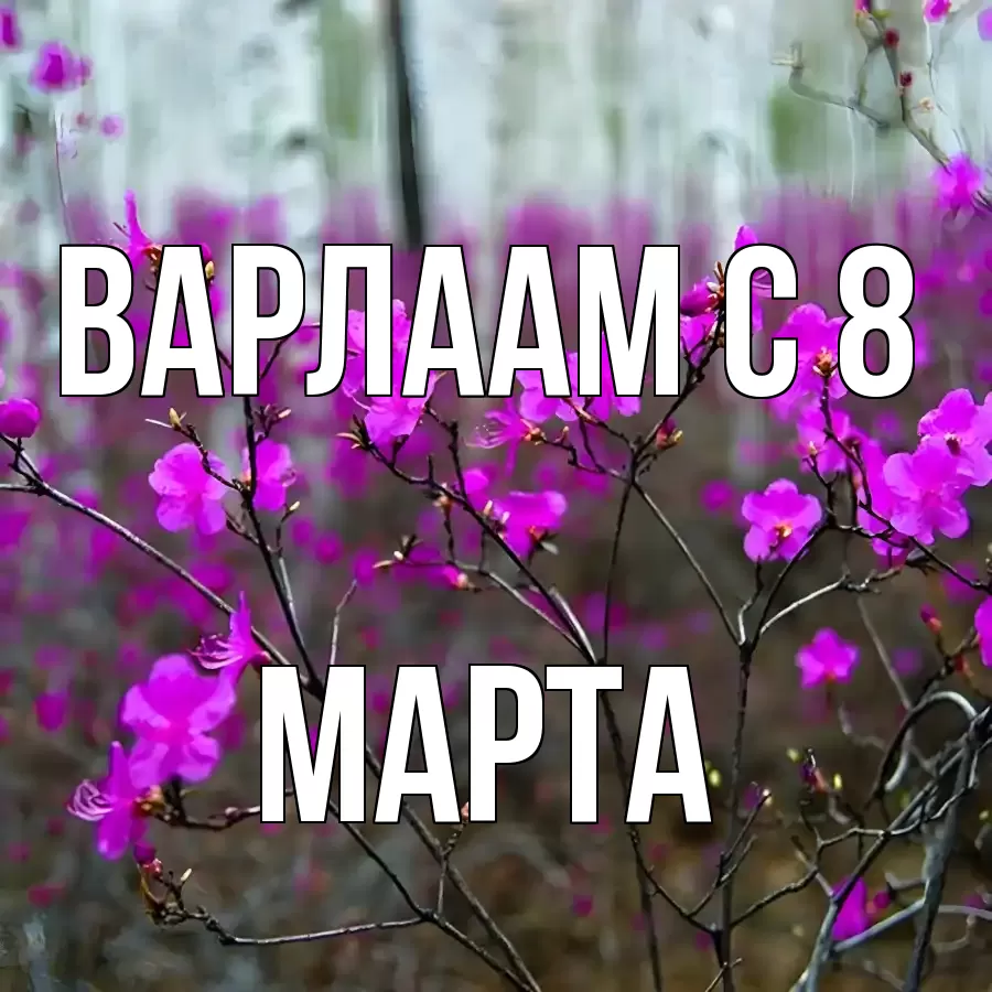 Открытка для Варлаам