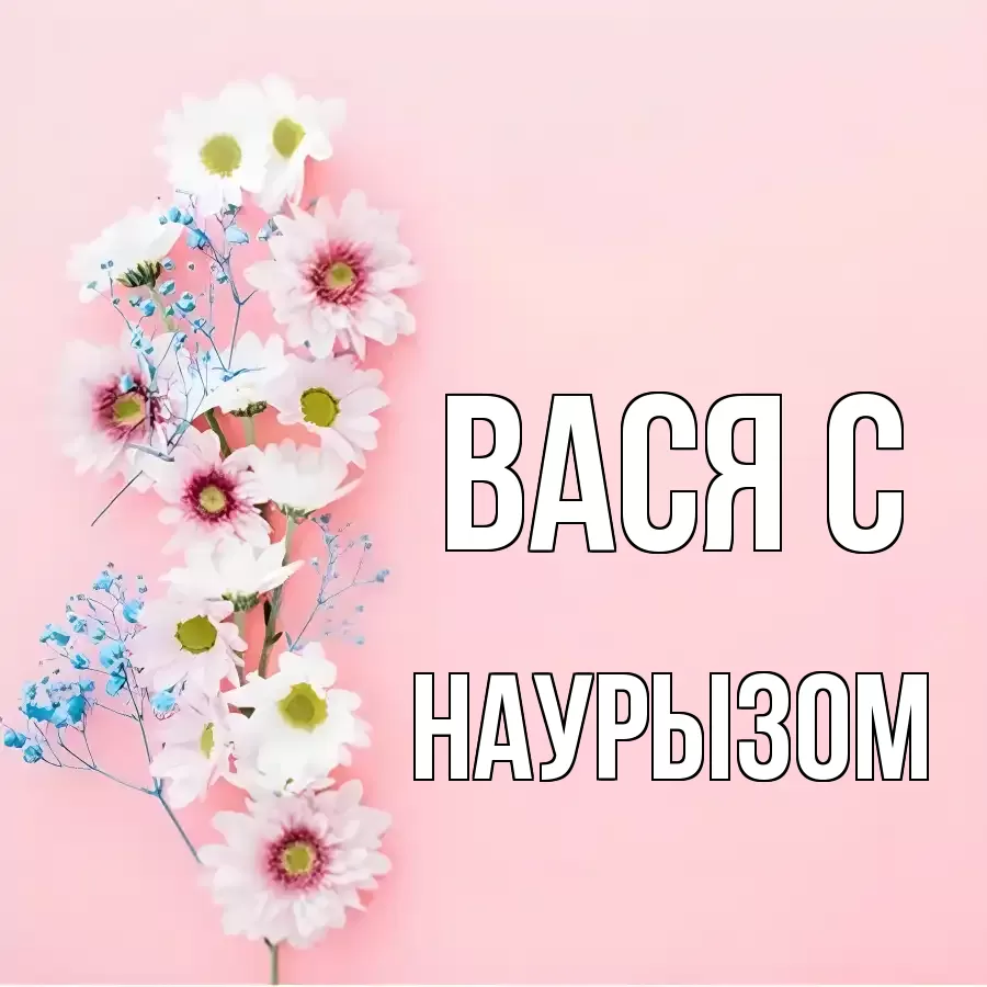 ОТКРЫТКА ВАСЯ